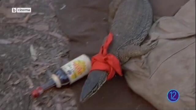 Дънди Крокодила 2 (1988) (бг аудио) (част 5) TV Rip bTV Cinema 10.05.2020
