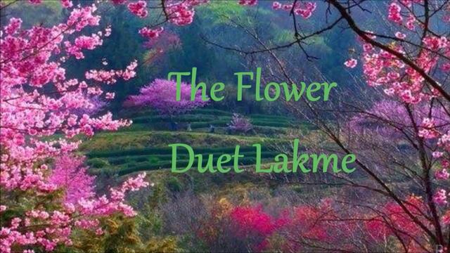 The Flower ☀️ Duet Lakmè