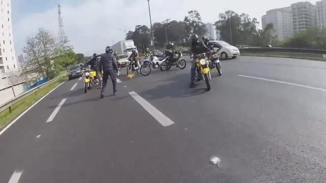 Мотористи спират движението, за да спасят куче (ВИДЕО)