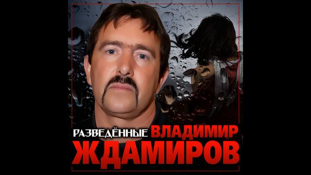Владимир Ждамиров  -  Разведённые