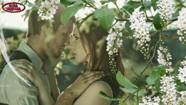 Вand Оdessa - БЕЛАЯ ЧЕРЁМУХА ВЕСНЫ