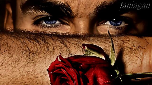 Да те жадувам - група СИГНАЛ