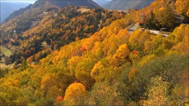 Николай Караченцов и Галина Журавлёва - ЛЮБОВЬ и ОСЕНЬ