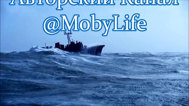 ЛЕТЯТ БЕЛОКРЫЛЫЕ ЧАЙКИ