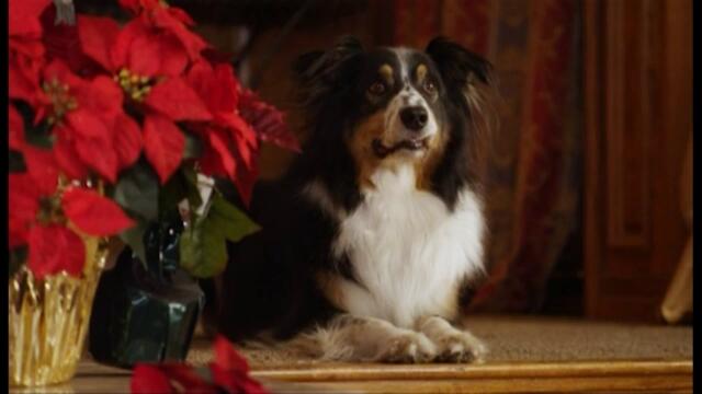 Снежна сватба Snow Bride (2013)  Бг Аудио ( Високо Качество) Част 2