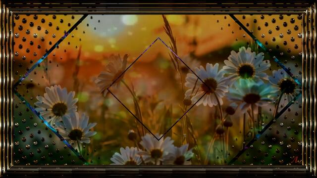 Сергей Орлов (Светлый Свет)  -  Цветы для любимой!