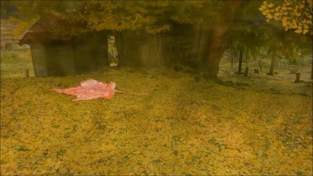 Аркадий Северный   -   КОРОЛЬ ШАНСОНА