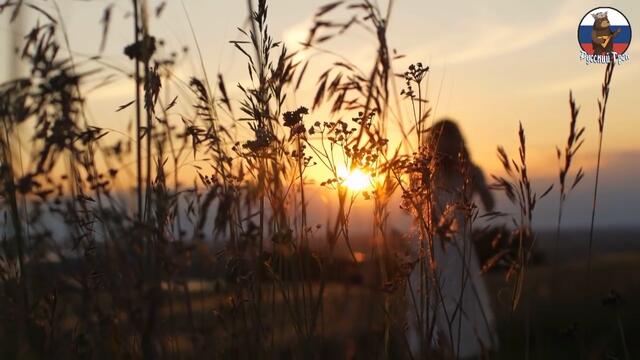 ЕВГЕНИЙ ВОЙНОВ  -  БЕЛАЯ СИРЕНЬ!