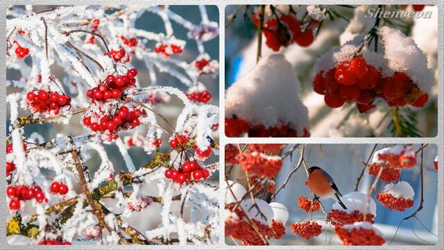 Зимние фантазии  (релакс)