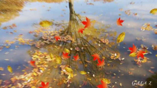 Т. СНЕЖИНА  -  НАС БОЛЬШЕ НЕТ!