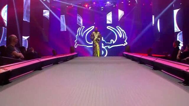 iMPACT: Мус срещу Райно