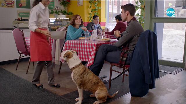 Любовна история през зимата Winter Love Story   (2019)  Бг Аудио ( Високо Качество) Част 2