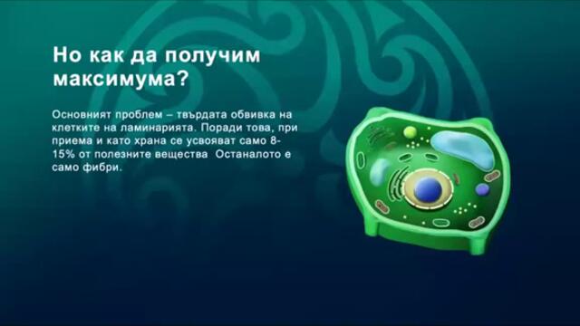 Как да получим максимума от Ламинарията