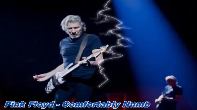 Pink Floyd - Comfortably Numb / С вградени BG субтитри /