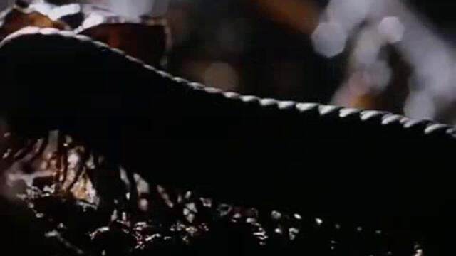 Talk Talk - Life s What You Make It (Official Video)