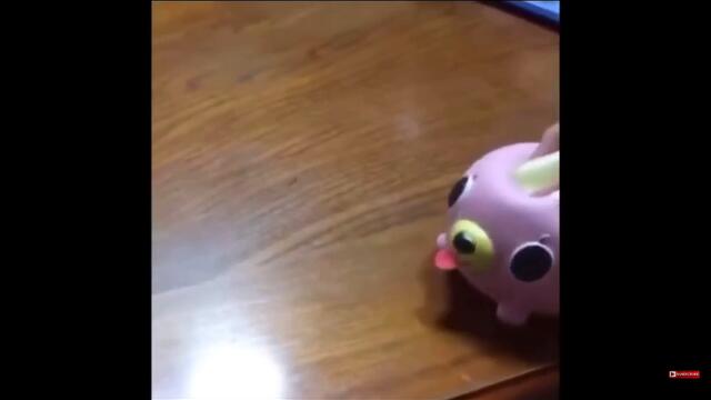 ripsave - That makes me laugh so hard every time