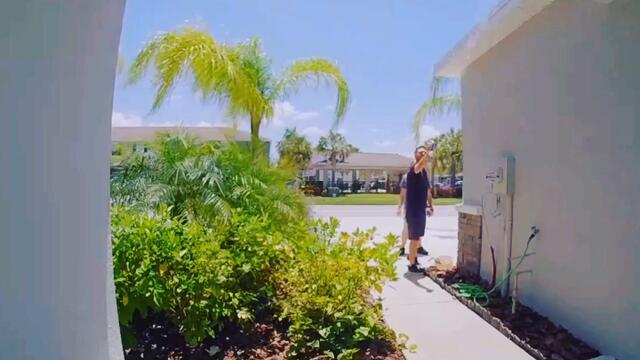 ripsave - Wasp hunting... It’s not me screaming I swear.