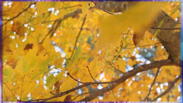 Андрей Картавцев - Упрямый взгляд зелёных глаз