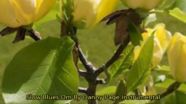 Slow blues Dm by Danny Page ☀️ Instrumental 2