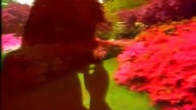 Jasar Ahmedovski i Juzni Vetar - Tamo si ti (Video 1995)