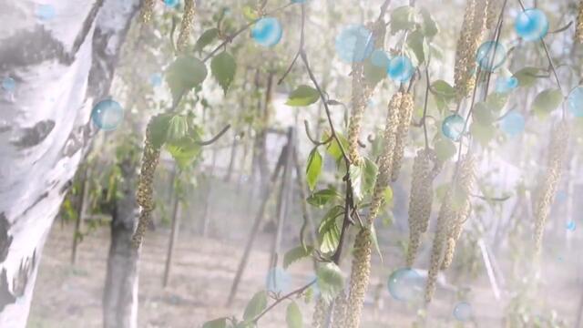 РИНАТ САФИН - ПУСТЬ ЭТО БУДЕТ НЕ В ПОСЛЕДНИЙ РАЗ!