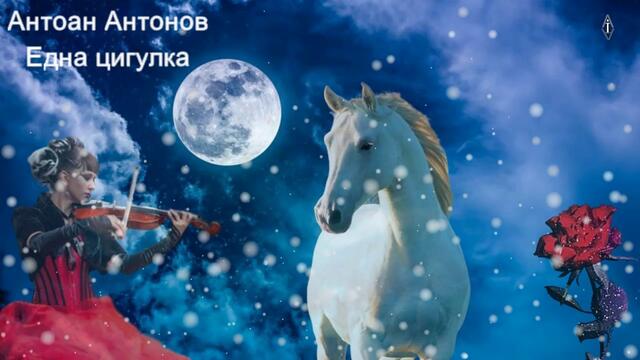 Антоан Антонов - Една цигулка
