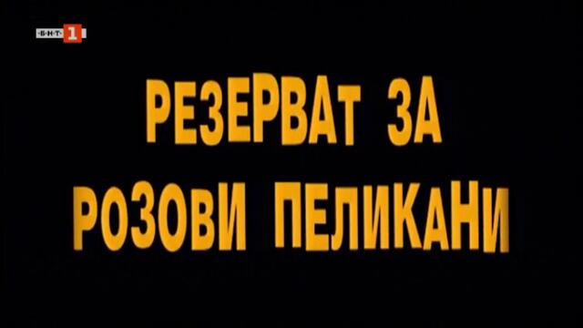 Резерват за розови пеликани (2003) (част 1) TV Rip БНТ 1 25.07.2020
