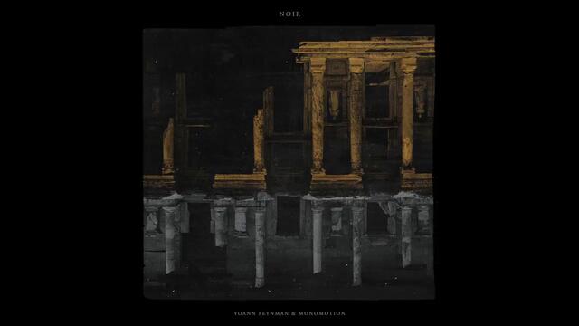 Yoann Feynman x Monomotion - Noir