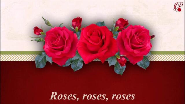 🌹 Roses, roses, roses 🌹
