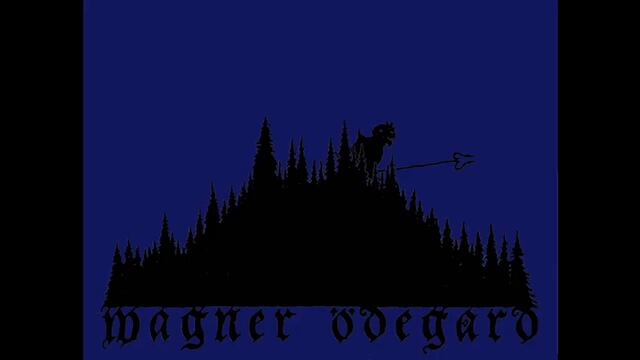 Wagner Ödegård - Farkoster
