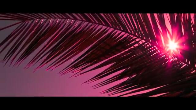 Serena - Safari (Official Video)