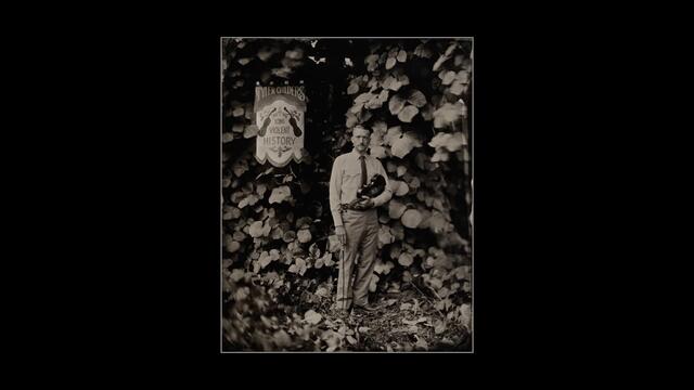 Tyler Childers - Long Violent History (Audio)