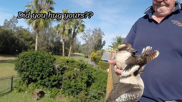 Hug your Kookaburra day