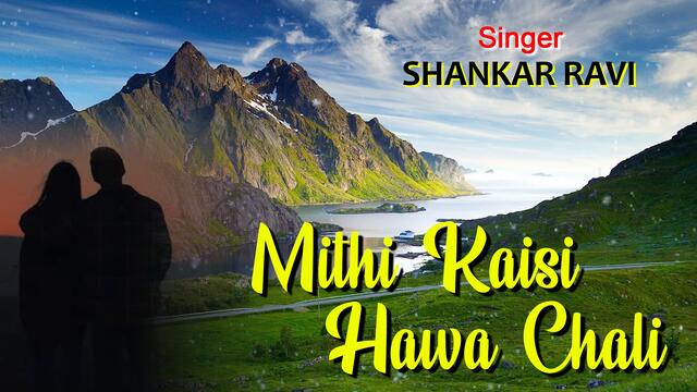 Mithi Kaisi Hawa Chali - Full Song | Mera Dil Tere Naam | Shankar Ravi | Hindi Album Romantic Song
