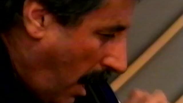 Thomas Chapin Trio - Night Bird Song - 8/21/1995 - Newport Jazz Festival (Official)