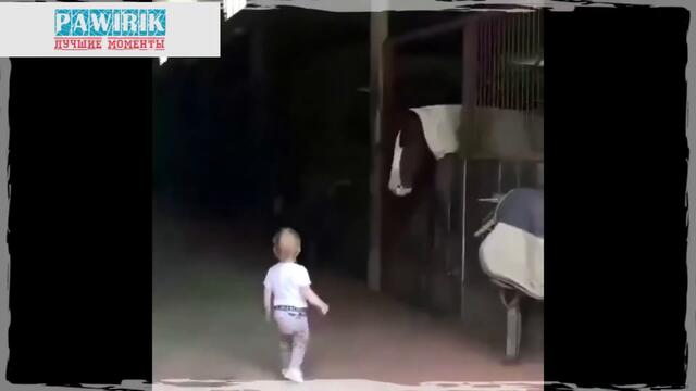 Смешное видео с животными и детьми 2020. Милые собаки, кошки и дети.