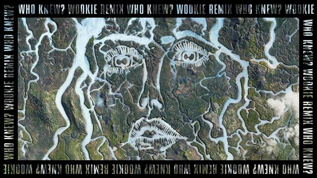Disclosure, Mick Jenkins - Who Knew? (Wookie Remix / Audio)
