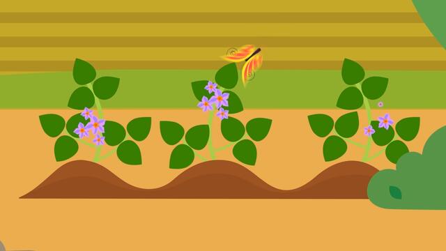 🌽🍅 ОВОЩИ - Песенки про еду и животных - Сборник - Полезные мультики для детей