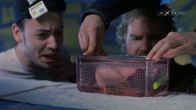 Classified Breathing Fluid The Abyss 1989