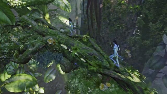 Avatar: Jake Learns The Na'avi Way 4k ColorMax