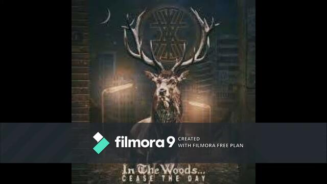 Interview with In The Woods for The Metal Gods Meltdown..IT RAWKS..By Seb Di Gatto..IT RAWKS!!!!