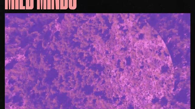 Mild Minds - VIEWS (Laurence Guy Remix) - Ninja Tune / Counter Records