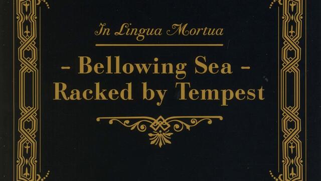 The Melancholy Surge