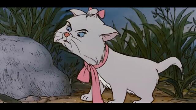 WAP - Disney Music Video Explicit (50+ Disney Movies)