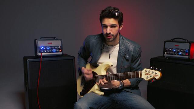 Roy Ziv - Leap Of Faith