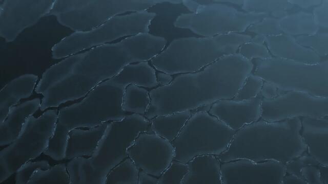 Disillusion - Wintertide [lyric video]