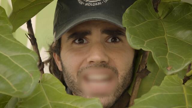 WAP: Plant Remix [Clean] (Official Music Video)