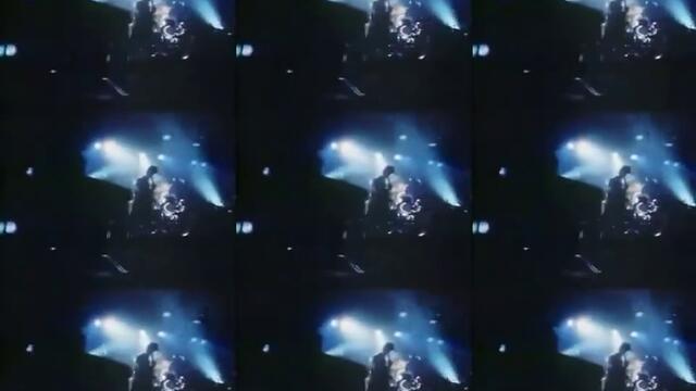 Martha And The Muffins "Echo Beach"