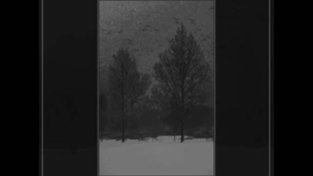 Ethereal Shroud - Look upon the Light (2015)