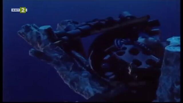 Музикална гора - първа част, 1999